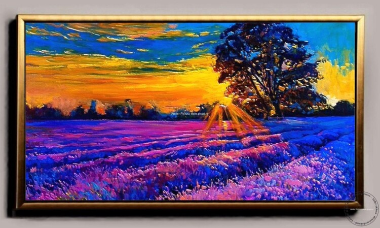 Peisaj cu lavanda Peisaj cu apus de soare