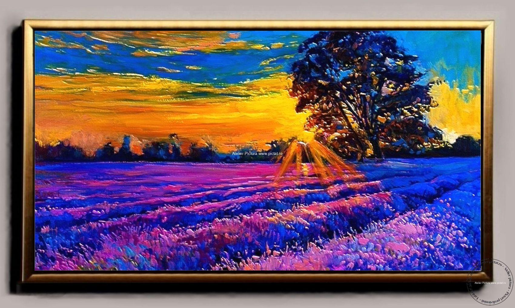 Peisaj cu lavanda Peisaj cu apus de soare